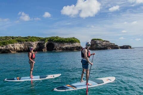 Paddleboarding in the Mangrove