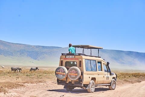 Safari Cultural de Vida Selvagem de 7 Dias em Tara Serengeti e Ngorongoro