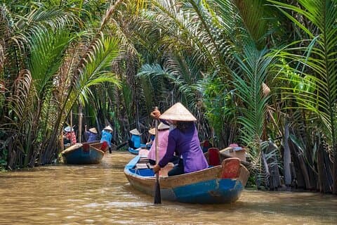 Ontdek de Mekong Delta : Dagtrip met kleine groep vanuit Ho Chi Minh
