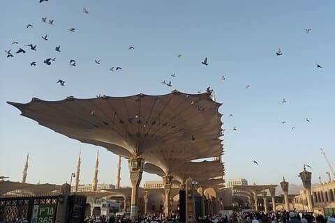 Private Guided Tour of Madinah Ziyarat