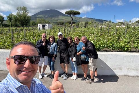 Pompeii-Wine tasting tour from Sorrento, licensed guide included