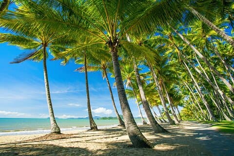 Private Shore Tour: Kuranda Village & Palm Cove från Port Douglas