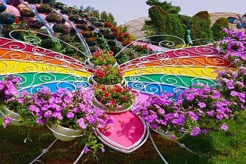Jardin immersif des papillons d'Abou Dabi