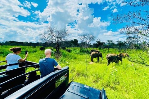 Private Yala National Park Leopard Safari from Pasikudah