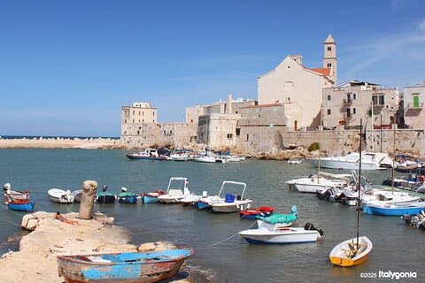 Giovinazzo Private Tour: Medieval Streets & Adriatic Jewels