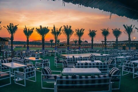 Dubai Desert Safari with BBQ Dinner and Live Shows Meeting Point