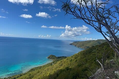 Brewers Cave Hike & Snorkel with Sea Turtles