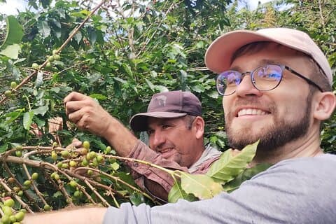 De la graine à la tasse une expérience de plantation de café