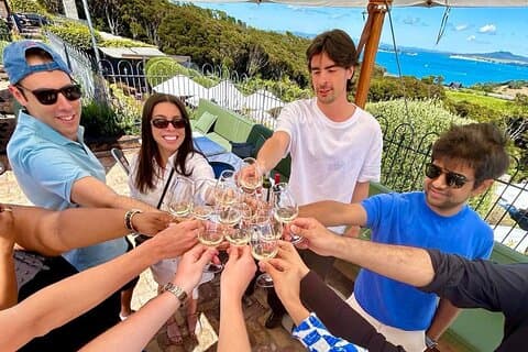 Auckland: Waiheke Wine Tour: 4 Vineyards, Local Guide, Great Day