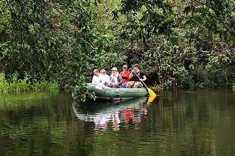 Bijagua Sloth Watching & Floating Bird Safari Tour