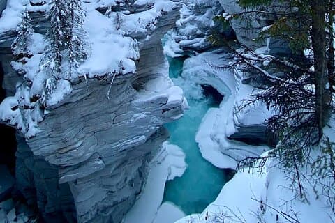 Privat helgedag Icefield Parkway tur