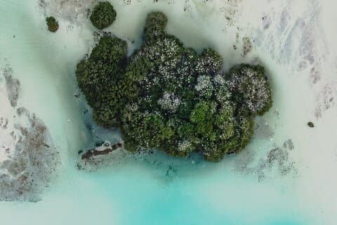 Bacalar : Private Catamaran Tour with Drinks, Snacks and Photos.