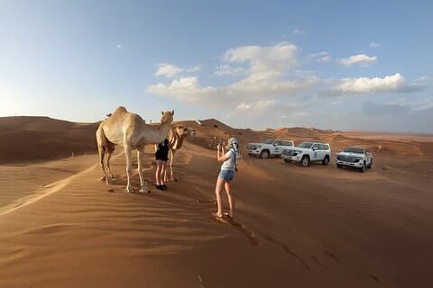 Dubai Abendrote Dünen Safari, Kamele, Grillabendessen & Live-Shows