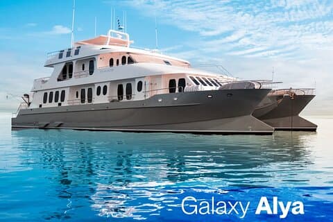 Galaxy Alya Catamaran | Luxury Galapagos Cruise