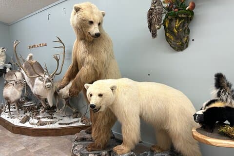 Guided Tour in Wildlife Gallery