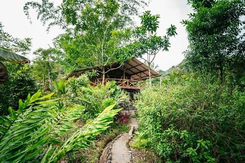 Jungle experiences, 3 days 2 nights