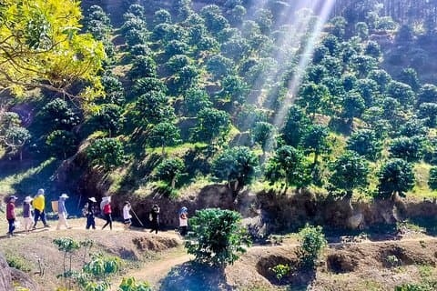 03 -Days Exploring Coffee Farm & hiking Activities