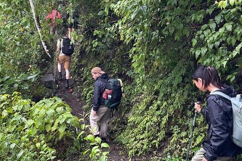 Jungle Route by Inca Trail to Machu Picchu 4 Days and 3 Nights