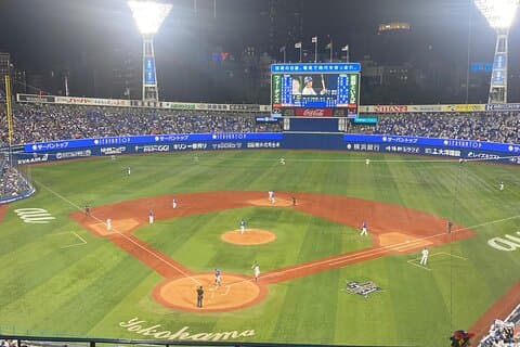 Watch Baseball Game in Yokohama with an English Speaking Guide