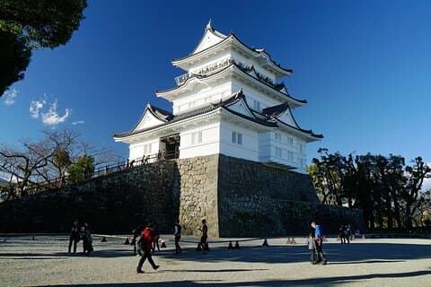 Odawara Samurai Heritage and Local Seafood Lunch Tour