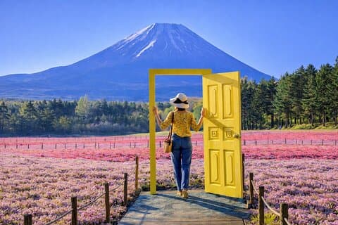 Spécial saison: Visite privée du mont Fuji Shibazakura au printemps
