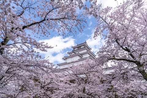 Full Day Fukushima Private Tour: Tsuruga Castle & Ouchi-juku