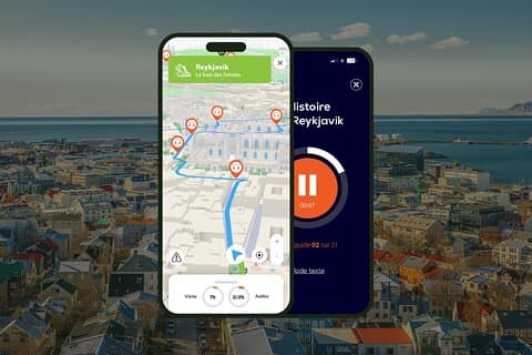 Tour a piedi di Reykjavik di 2,5 ore con audioguida e 20 commenti