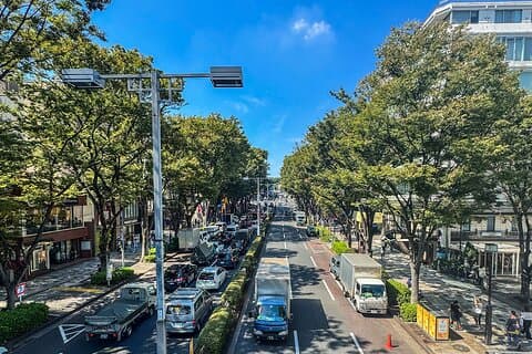Visita guiada privada de un día a Tokio con recogida en el hotel