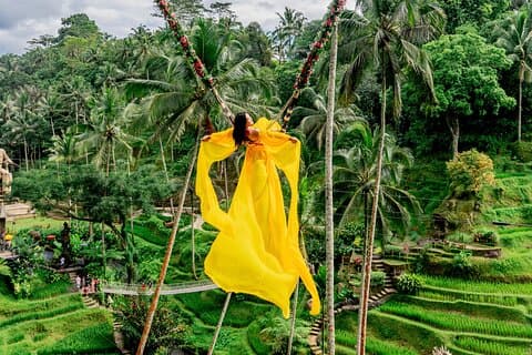Tour privado de Ubud Bosque de los Monos