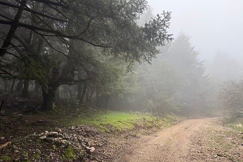 Kefalonia Ainos Premium 4x4 Van Experiência