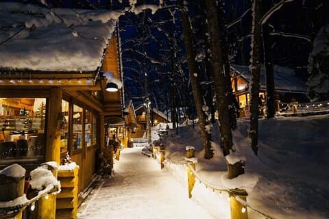 Hokkaido Tour, Asahiyama Zoo, Weihnachtsbaum und Biei Green Pond