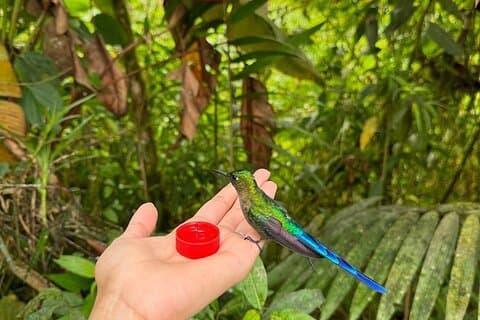 Mindo Cloud Forest & Midden van de wereld Tour vanuit Quito