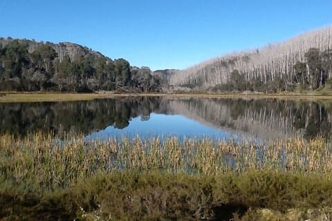 Esperienza Mt Buffalo Hikes Cascate e viste panoramiche