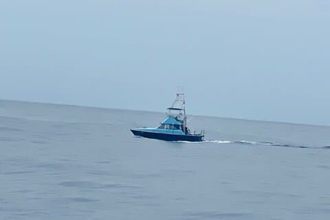 35 fot Bertram 6 timers charter