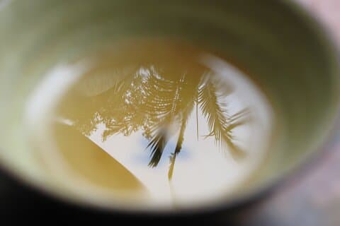 Private Tea Experience in Kaua‘i — Up to 6 Guests