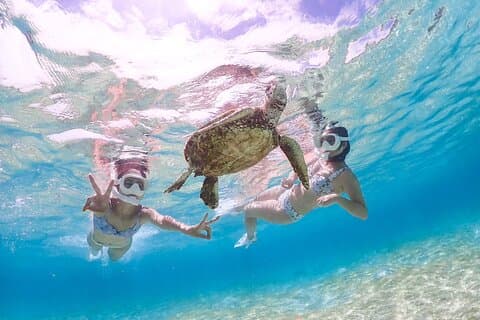 Plan VIP privado en Miyakojima [Fotografía con dron incluida | Tour de snorkel con Nemo y tortugas marinas] Sin costo adicional | Garantía de reembolso total | Alquileres y fotos gratis ilimitados