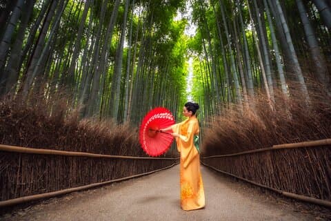 Privat Kyoto och Nara Cultural Tour - Engelska talande chaufför