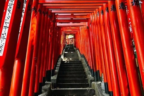 Private Tokyo Feng Shui Secrets Torii vermelho e Shibuya