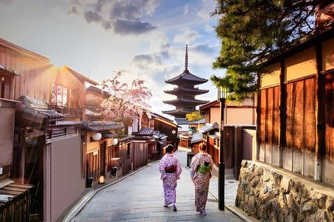 Kyoto Private Car Tour: Højdepunkter, der kan tilpasses hele dagen