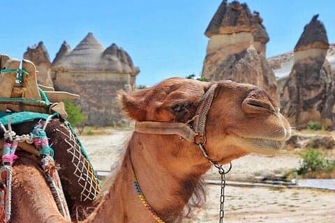 3-dages Cappadocia Tour med Camel Ride & valgfri Balloon Ride
