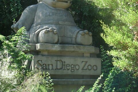 Biljett till San Diego Zoo och guidad tur i appen