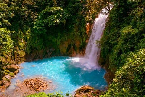 Rio Celeste: Hike, Coffee & Sloths Lovers