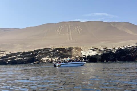 Paracas Tour : Ballestas Islands et Sunset Hike