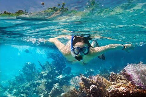 Pattaya Coral Island Snorkeling Day Tour