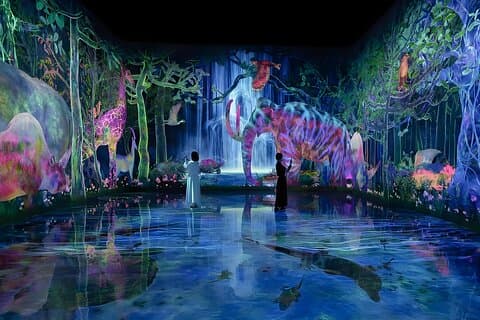 Tokyo: TeamLab Planets Admission & 24-Hour Subway Ticket