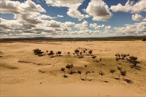 5 dagar i centrala Mongoliet