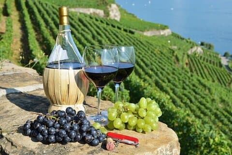 Krka vandfaldstur med autentisk vinsmagning og olivenolie