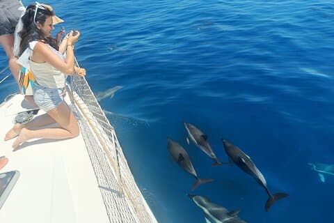 Experience sailing and dolphin watching in Marbella