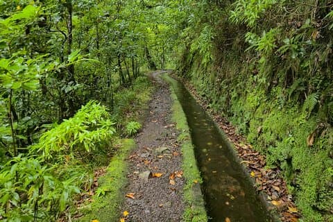Levada dos Tornos Hiking Adventure in Madeira