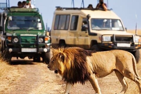 12 giorni al meglio della Tanzania Safari e Zanzibar Beach Tour
